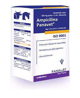 Ampicilina Panavet