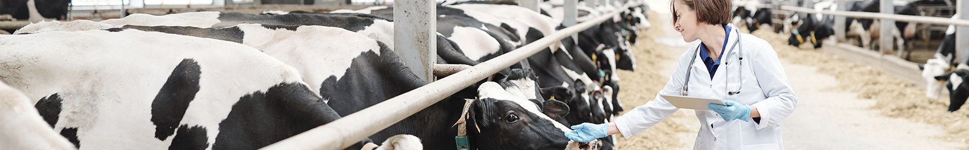 Catálogo de Productos Panavet